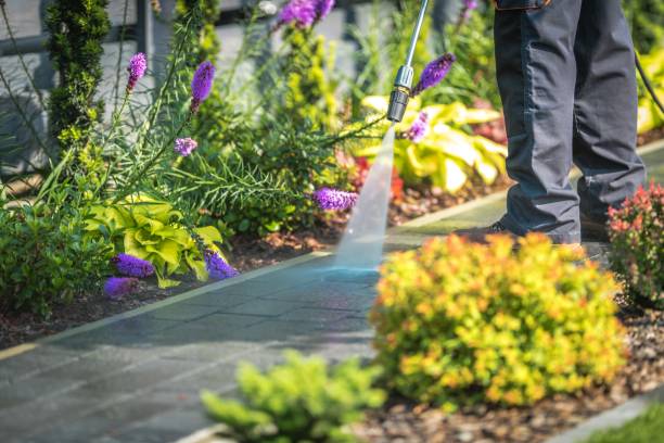 Best Post-Construction Pressure Washing  in Monticello, IA
